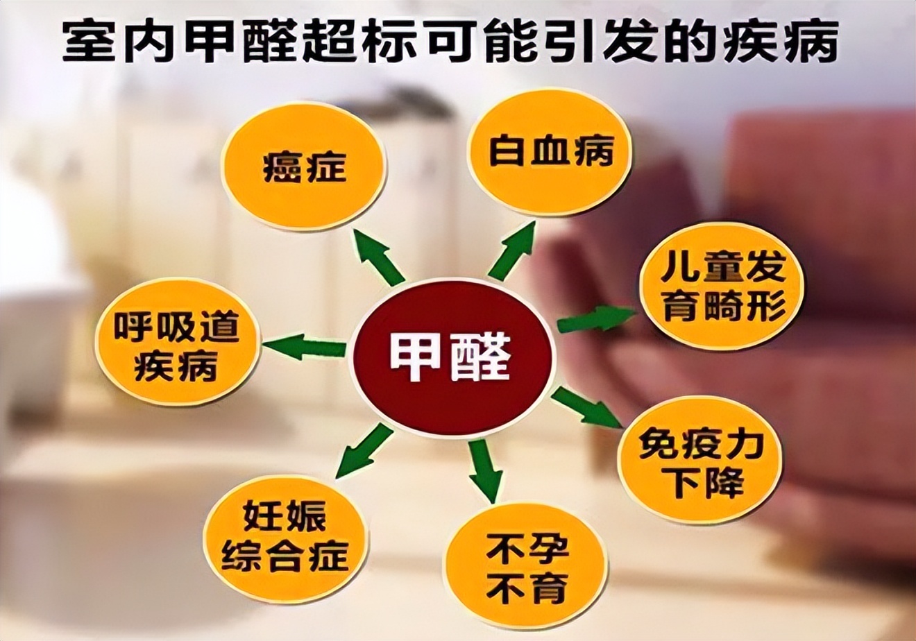 如何快速去除新家具甲醛,室内甲醛苯如何快速去除