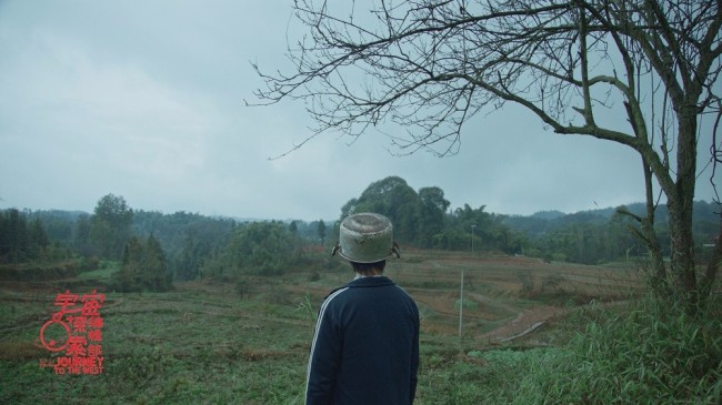 宇宙探索编辑部开头采访是真的吗,宇宙探索编辑部什么时候上平台