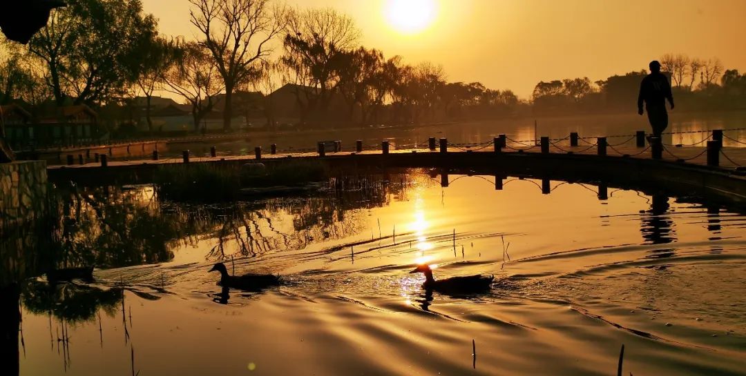 西城印象西平县,西城印象二期