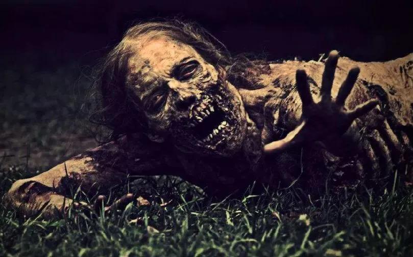 拯救剧荒的十大电视剧,拯救剧荒高分好剧推荐