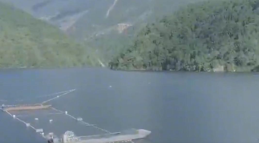 万尾鱼苗离奇失踪,鱼苗死亡鱼苗老板有责任吗