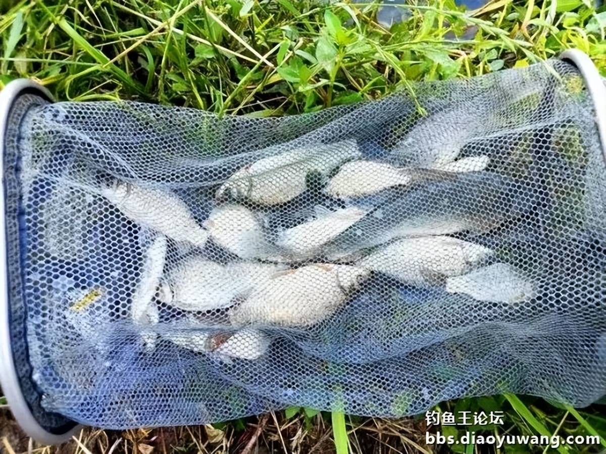 双铅钓流水要用吃铅大的漂吗,双铅跑铅真的抗流水吗