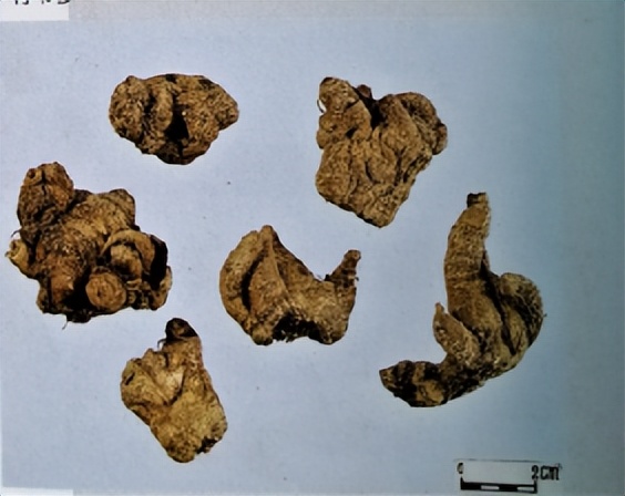 中医三七药材标准,三七真假对比图片三七主治