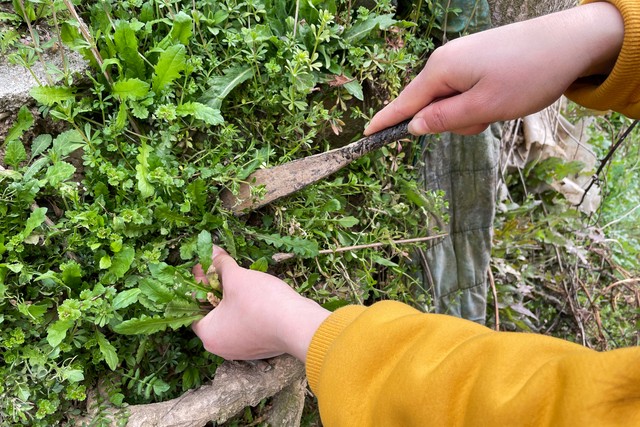 春分几月几日,春分节气适合穿啥衣服