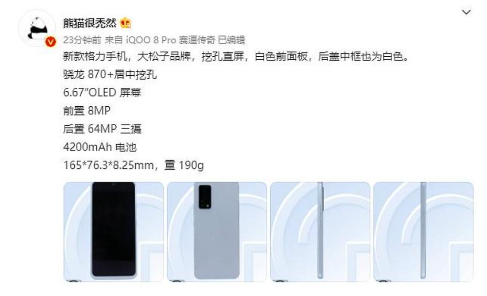 董明珠为啥和王自如戴同款手表,董明珠与王自如恋爱事件