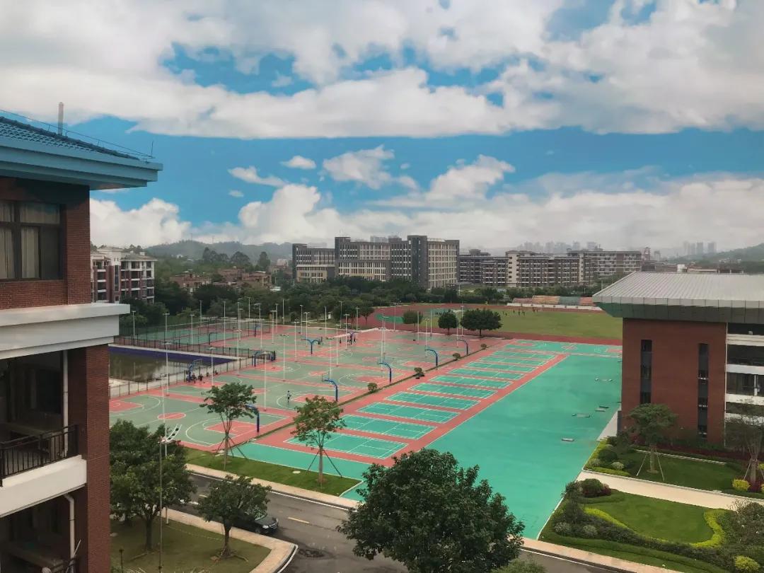 广东碧桂园职业学院招生计划,广东碧桂园职业学院2023年