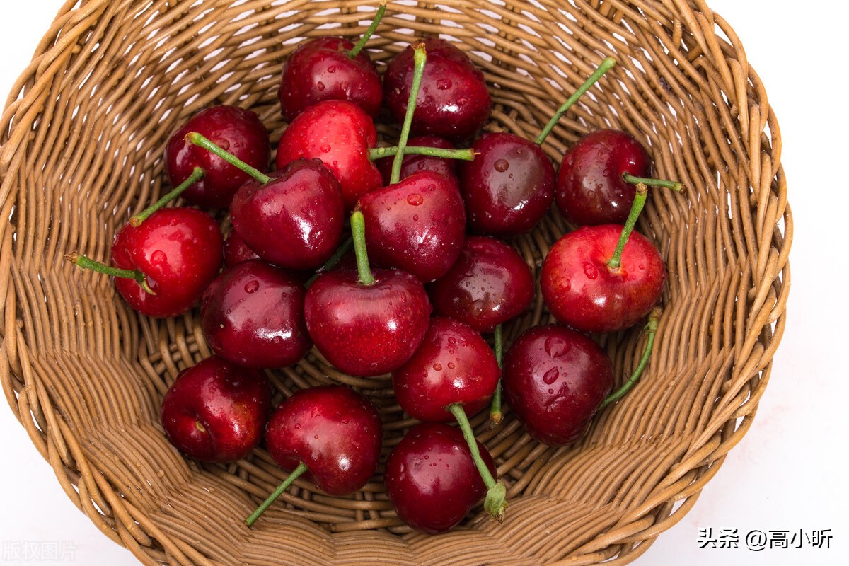 车厘子和樱桃的区别哪个贵一些,为什么车厘子价格比樱桃贵很多