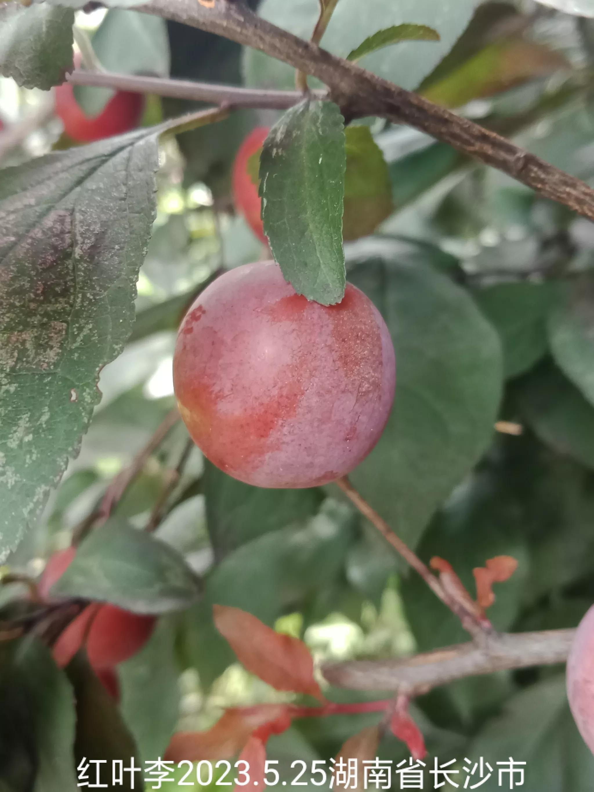 微信群忘保存找不到怎么办,怎么保存微信群里面的人