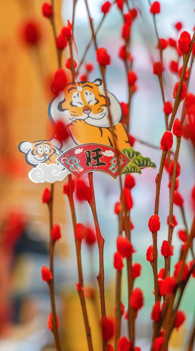 武汉春节惠民活动,武汉人的福利