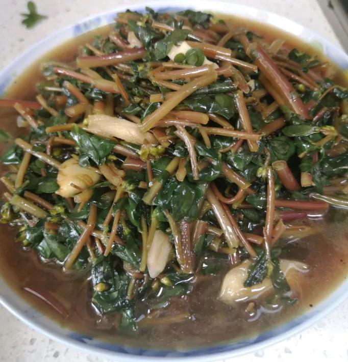 这些野菜你们都认识哪几种,看看这些野菜你真的认识吗