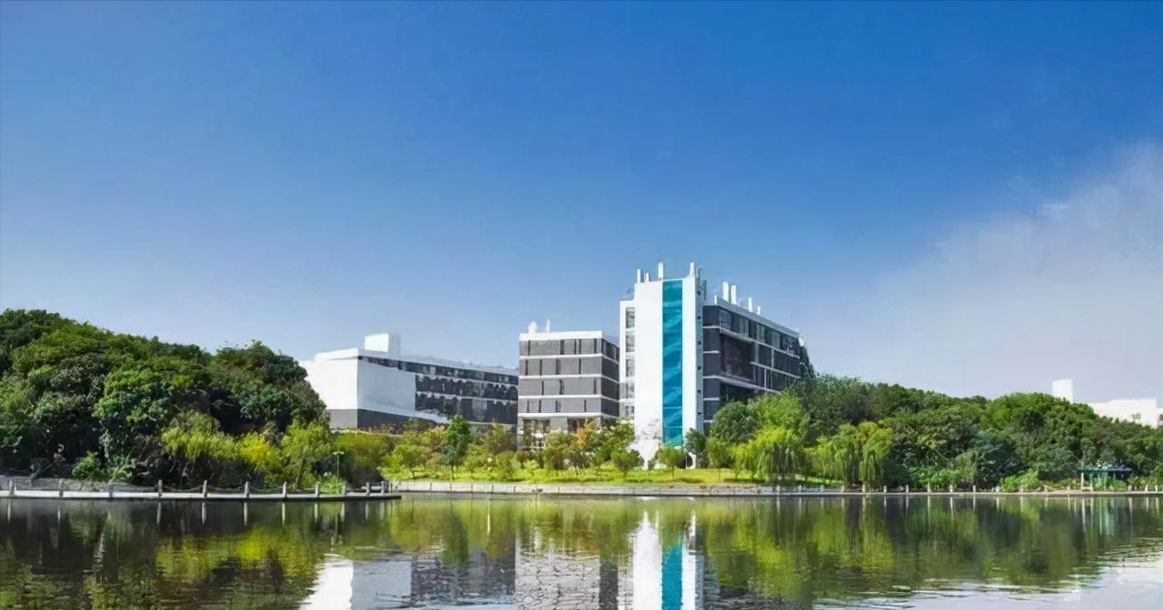 武汉大学撤销专业,武汉大学撤销处分