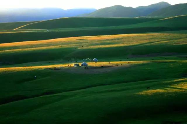 这条惊艳奇绝的公路,行走在天山脊梁上的最美景观公路