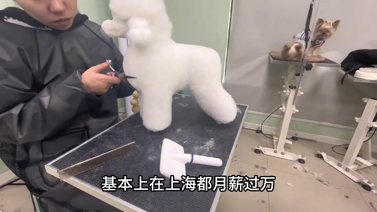 涓婃捣鍝噷鏈夊疇鐗╃編瀹瑰笀鍩硅瀛︽牎,涓婃捣鍌查泟瀹犵墿缇庡鍩硅瀛︽牎