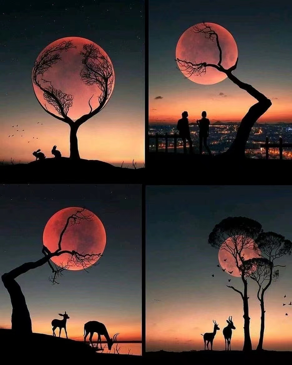 经济下半场十大趋势,未来十年经济研判