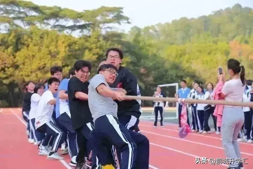 2024年深圳高中校园开放日,深圳市校园开放日