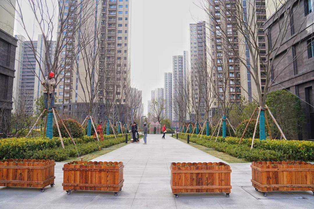 打了个样,南通现象级红盘