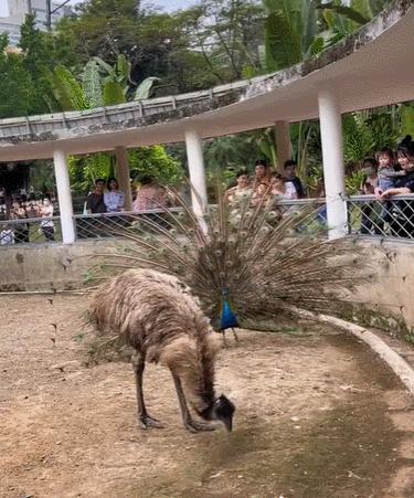 谁懂啊！回南天的养狗人家，惨过住鸡圈！pang臭！