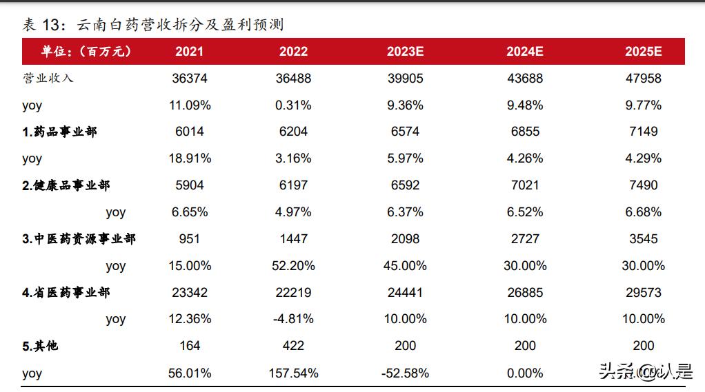 云南白药内部控制研究5000字论文,云南白药技术研究