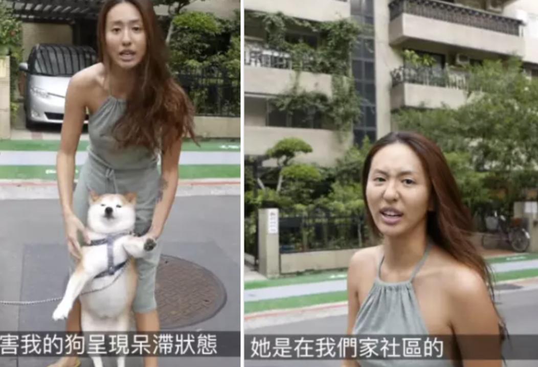 经常公开骂人的明星,靠骂人出名的明星