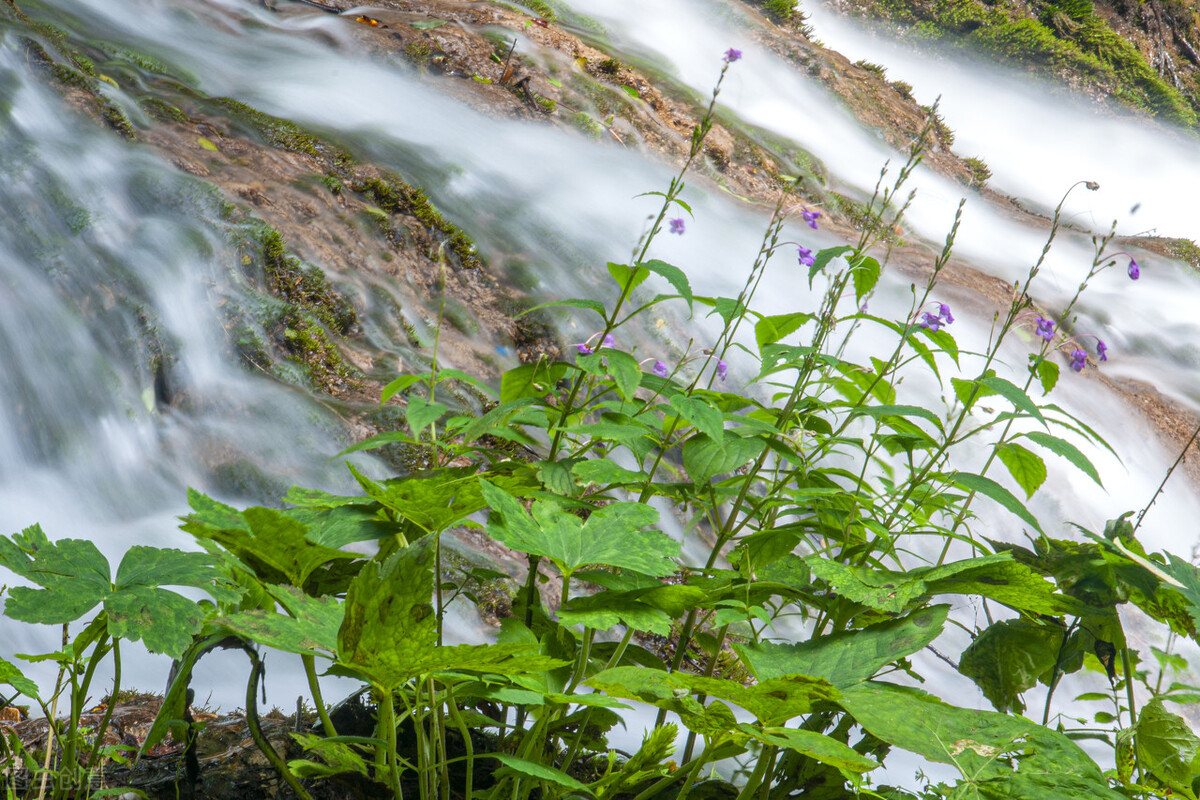 郭进拴重庆品火锅,郭进拴平湖春歌