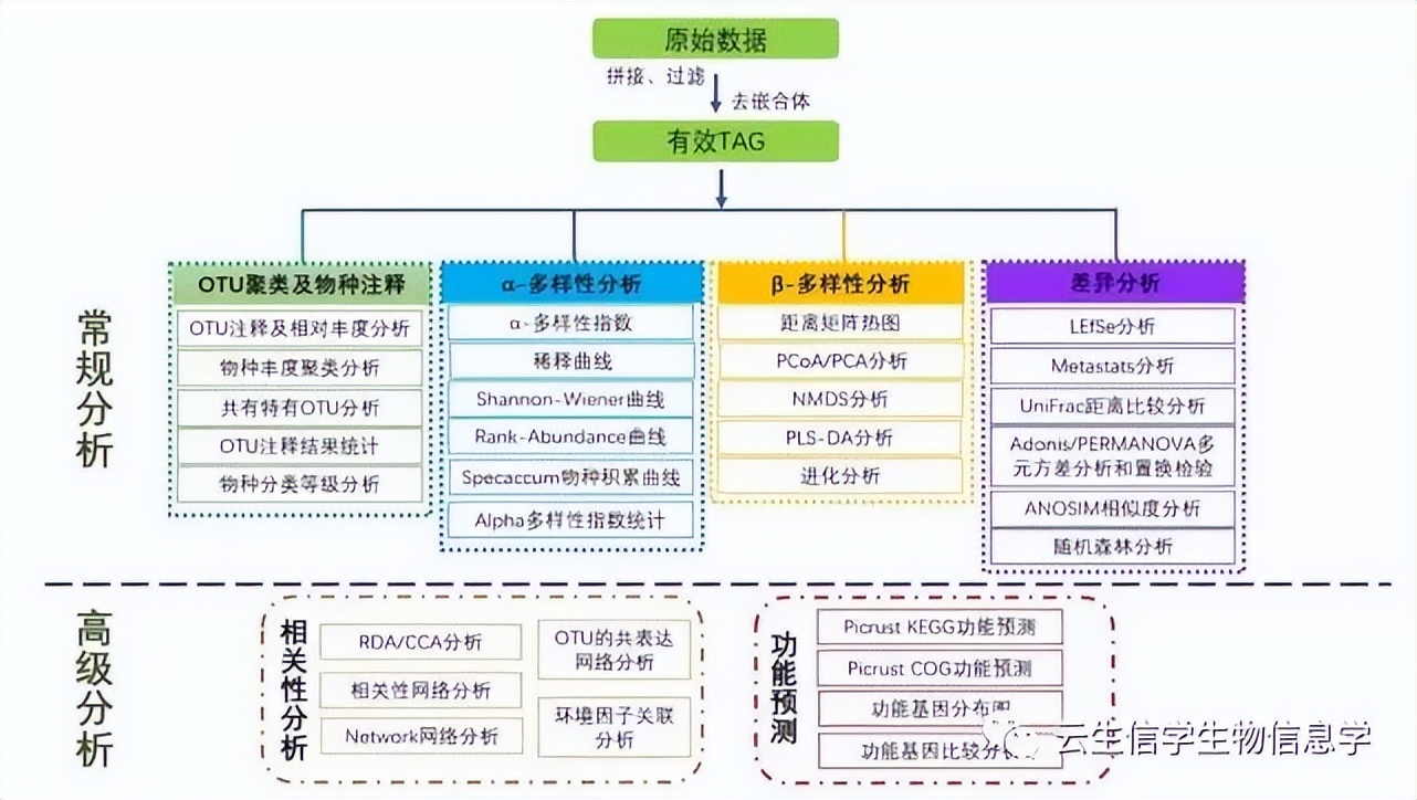 什么叫16srna测序,16srna测序和16sdna测序的区别