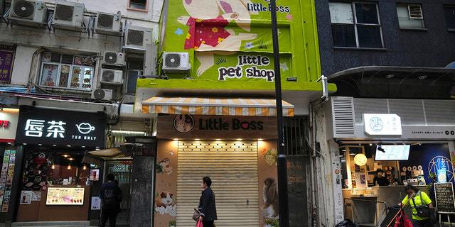 香港毁灭千多仓鼠！抗疫不力宠物也遭殃，小朋友的世界愁云惨雾