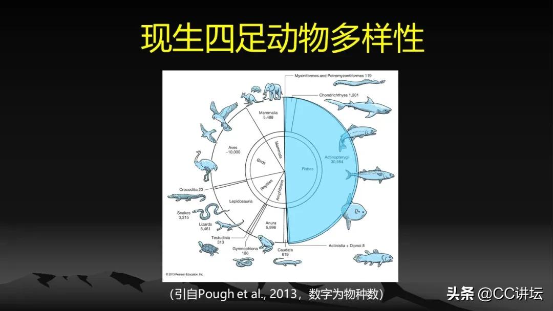 海洋恐龙和陆地恐龙,海洋恐龙与陆地生物对比