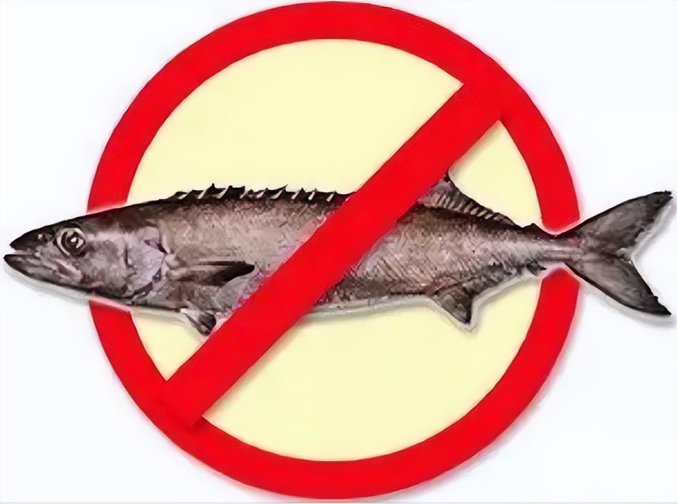 油鱼吃完后漏油的样子,油鱼有什么危害