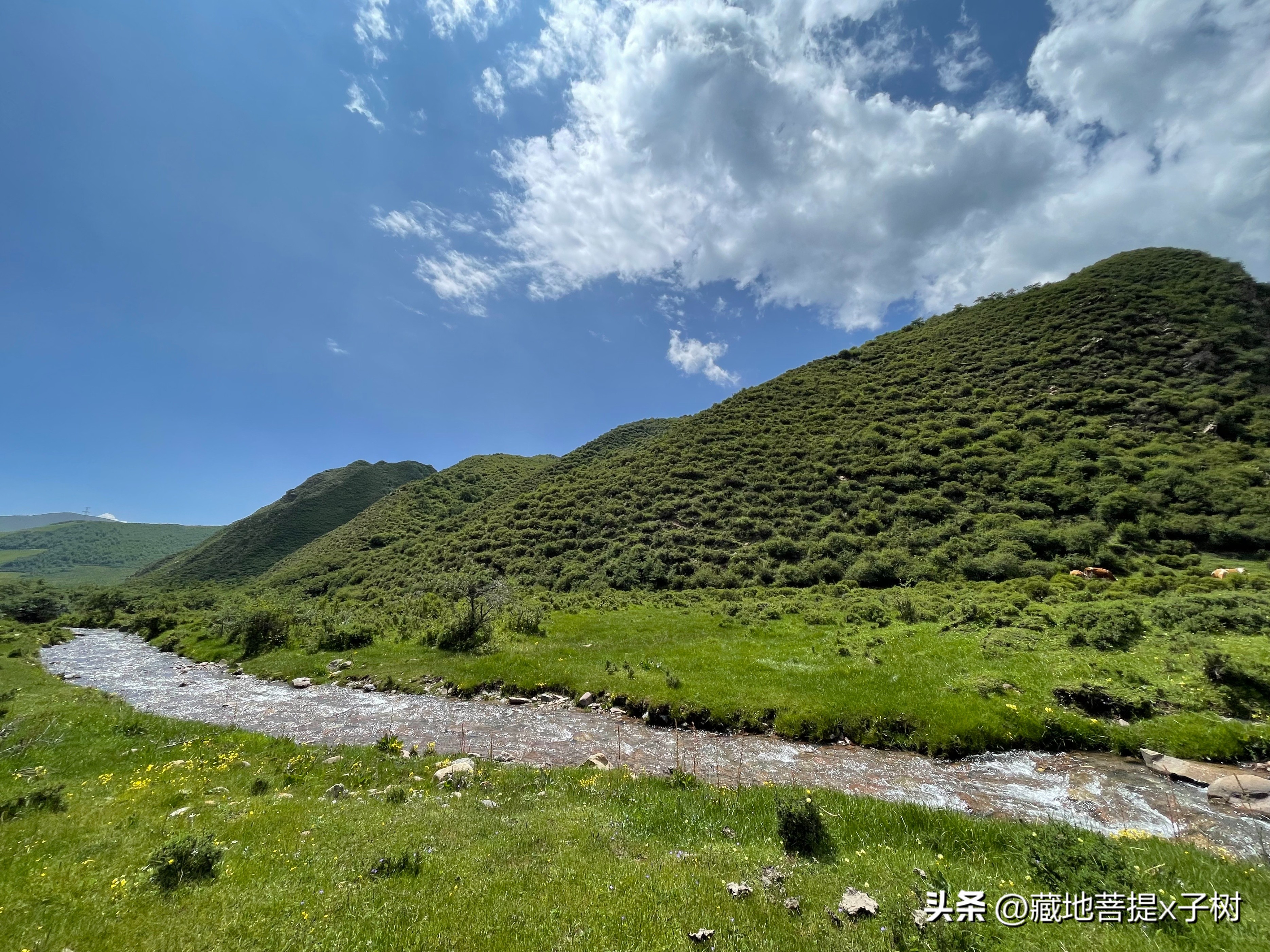 西宁饮水思源探秘三江源活动,青海大通山洪灾观后感