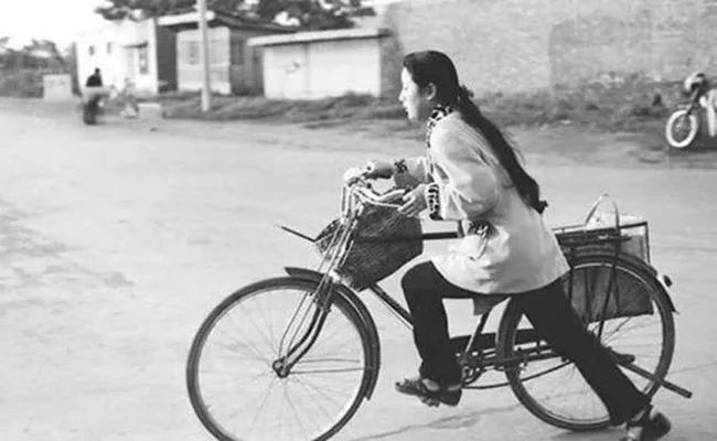 户太八号是嫁接苗吗,户太八号简介