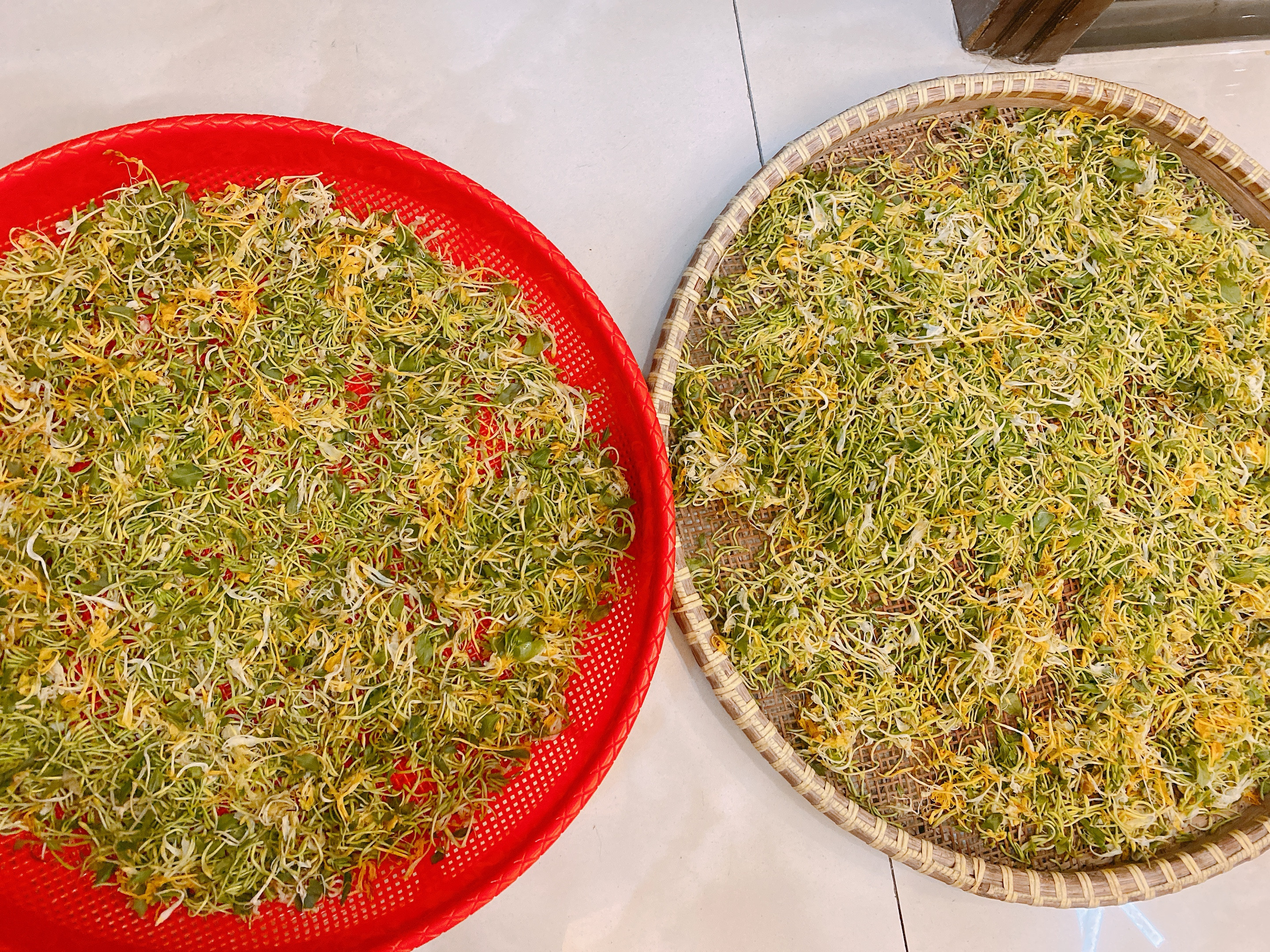 如何自制金银花茶,家庭制作金银花茶的方法