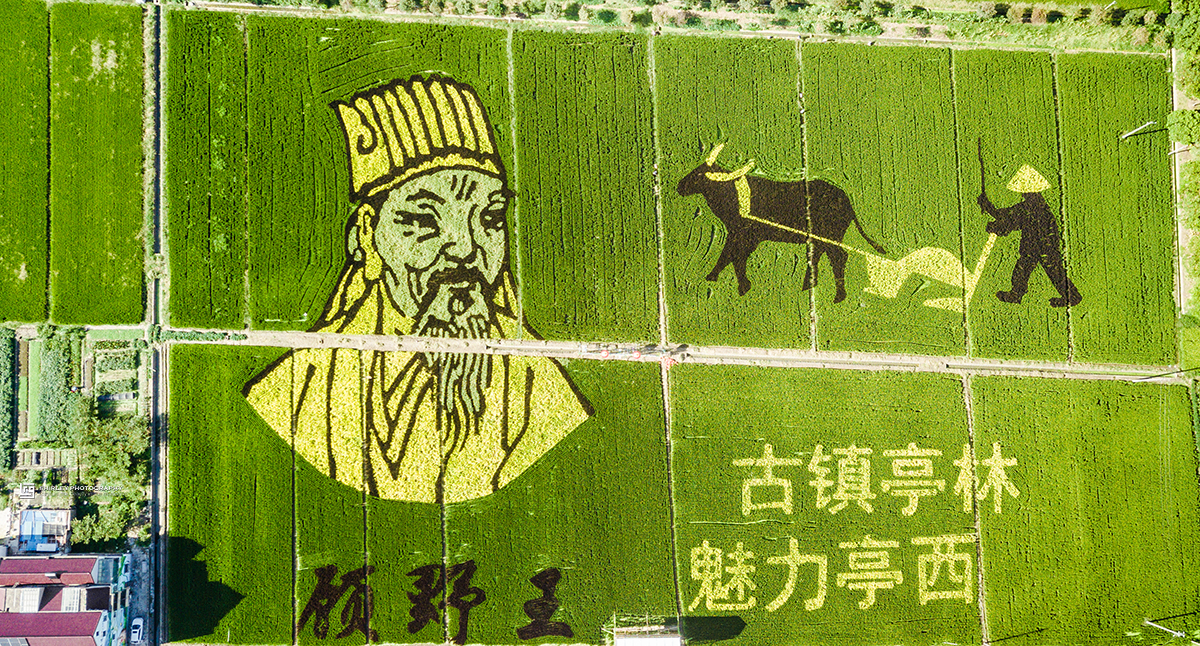 上海老街复古一条街风景,上海一条落魄的老街