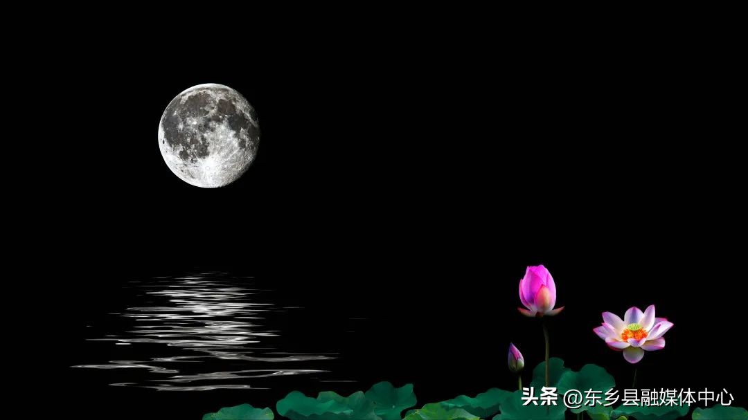 关于春天的诗词和优美句子,最美有关春天的诗词