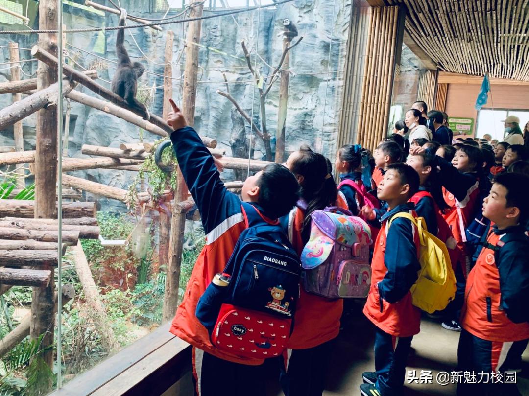 软件谷二小学区,软件谷二小怎么样