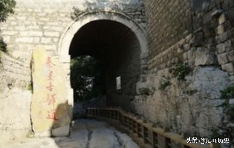 古代马的作用和地位,古代马有什么重要性