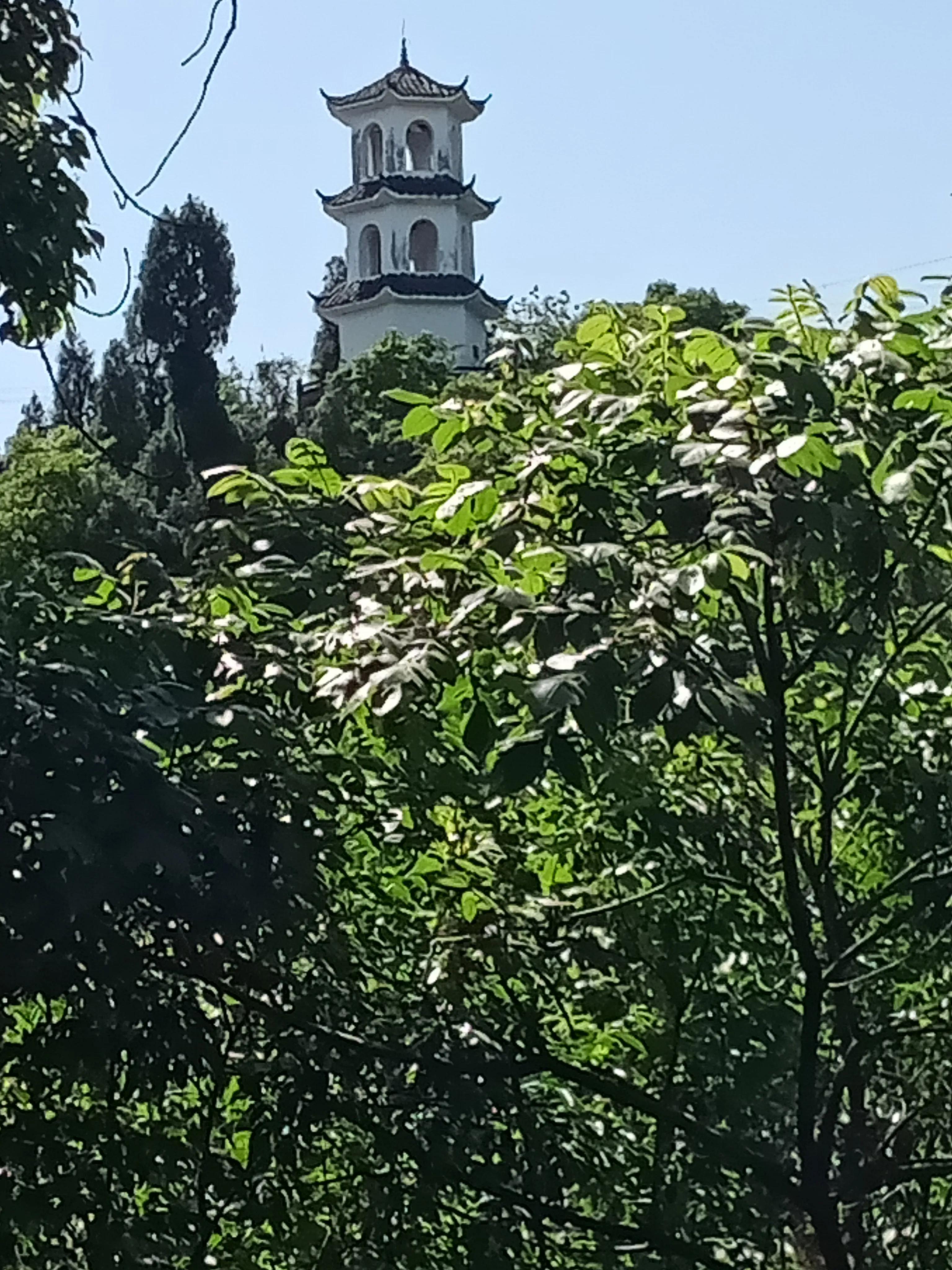 顾太健最新文章,顾太健视频