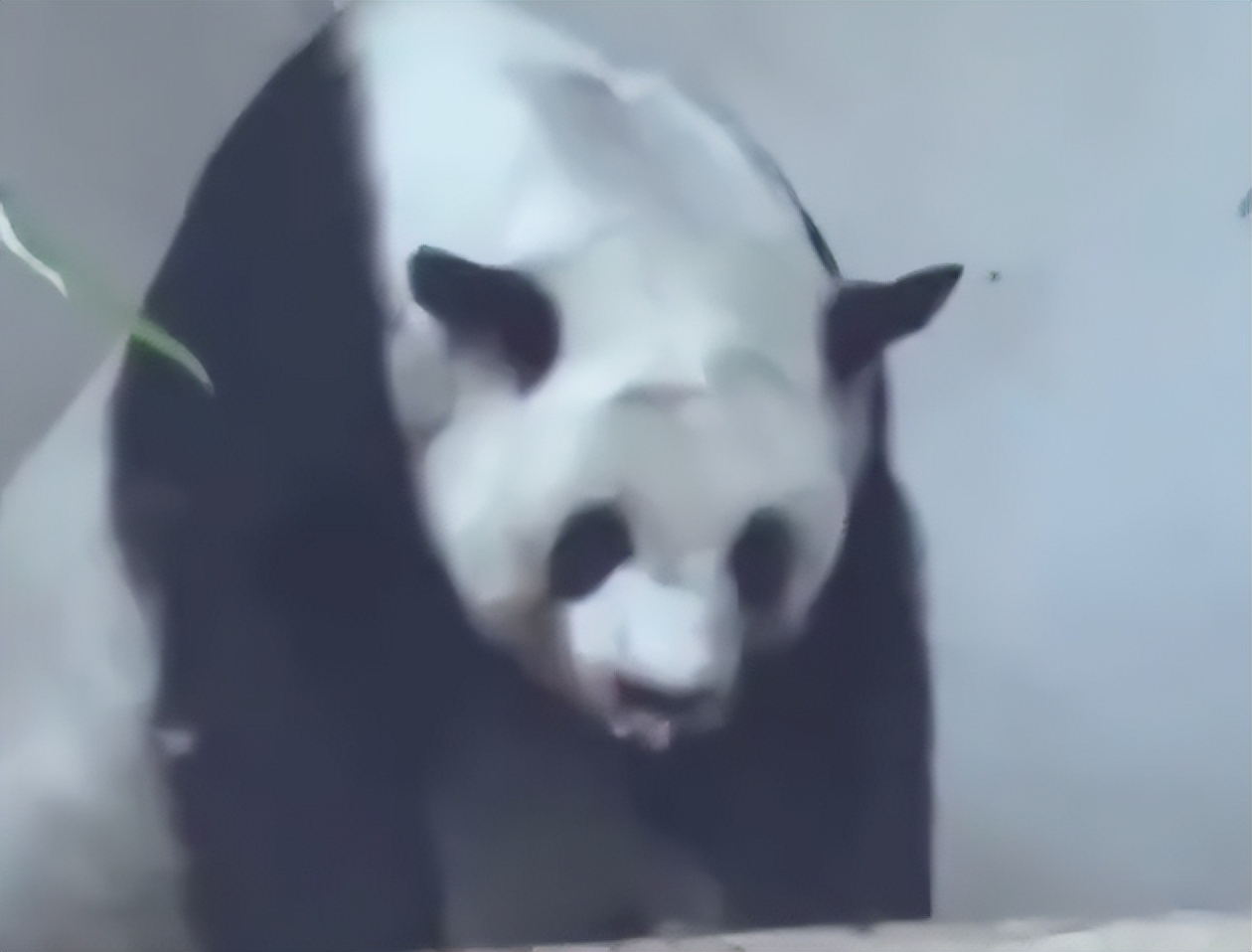 五一的泰国机场,泰国旅游现状机场空无一人