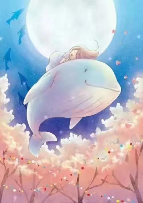 怎么努力都得不了100分,不要为难自己原版