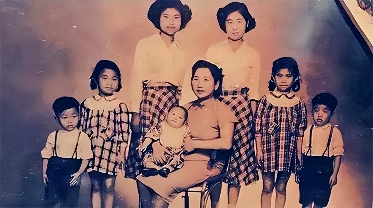 沈殿霞葬礼真实影像,沈殿霞死亡真实原因