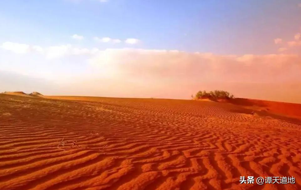 你不知道的国家冷知识沙特篇,沙特的冷知识100条