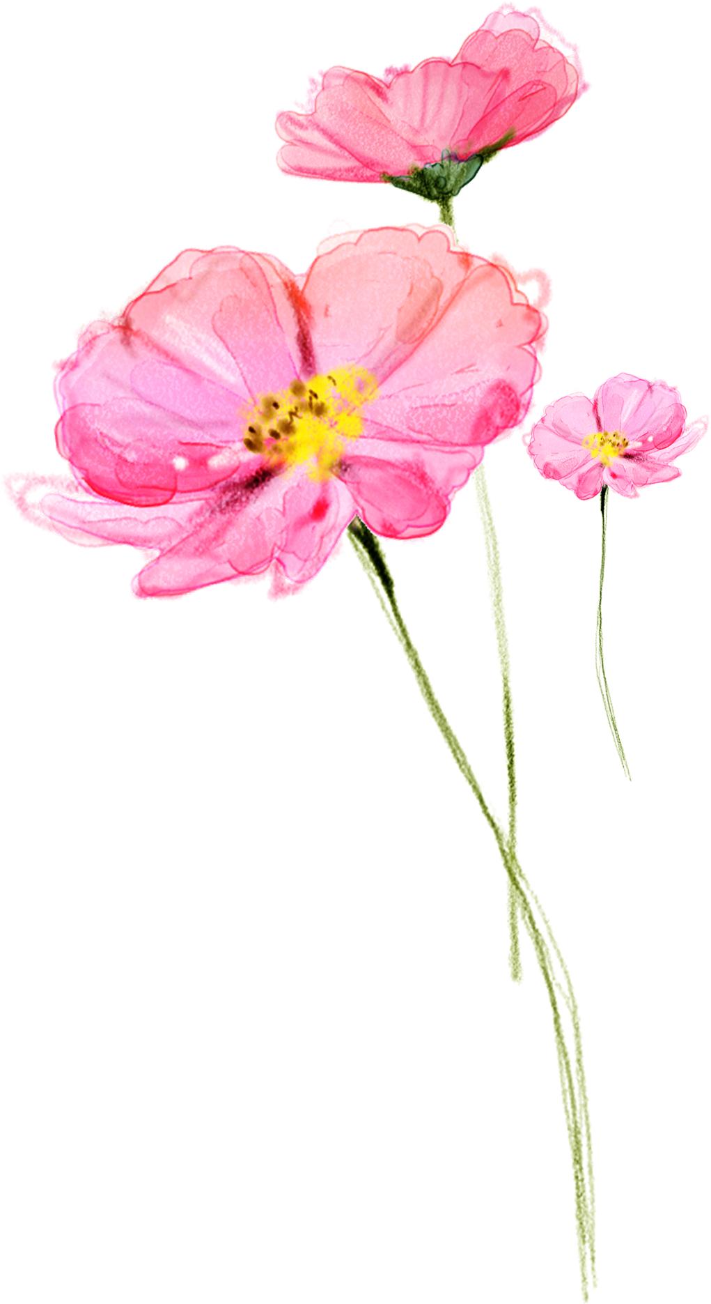 印度的国土面积有多少,印度的国家元首