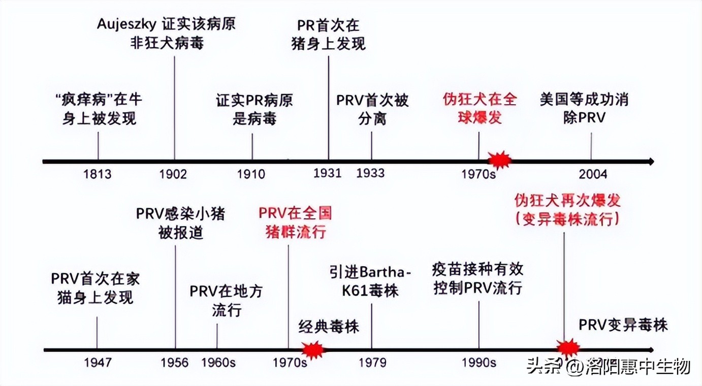 伪狂犬病疫情报道,伪狂犬防控应急预案
