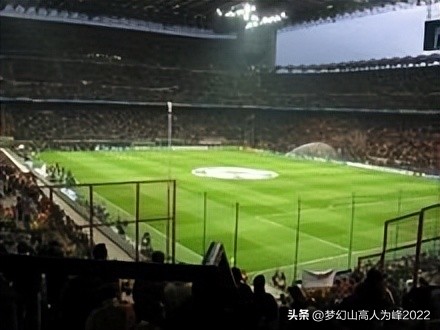 专业足球场草皮,专业足球场多大