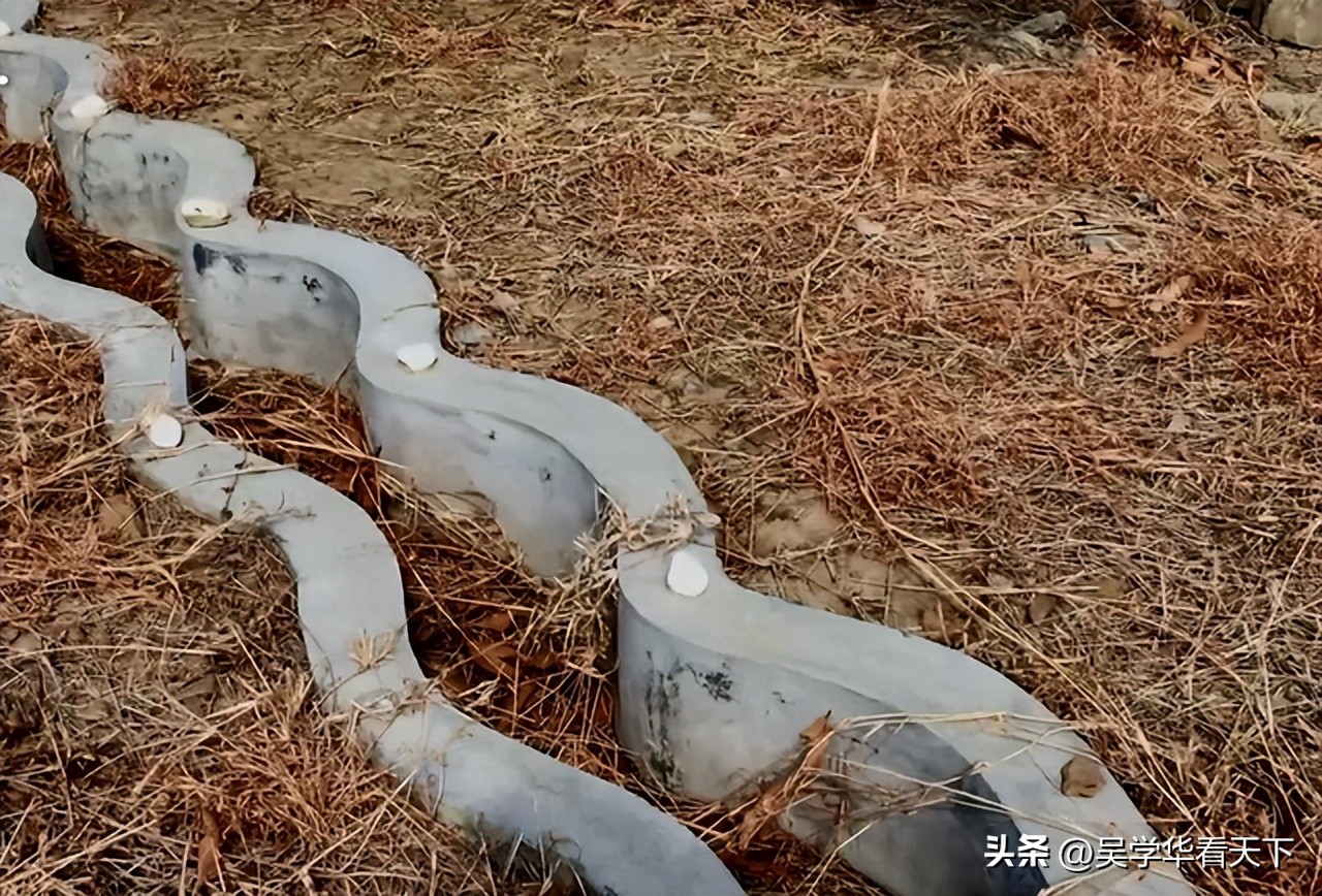 从陈水扁到蔡英文,*进党民**人为何都迷信,原来有“大师”在帮他们