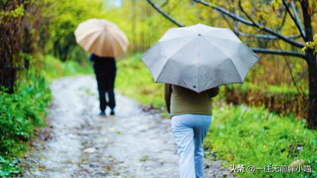 清明的由来和习俗幼儿动画,清明的由来和风俗简介