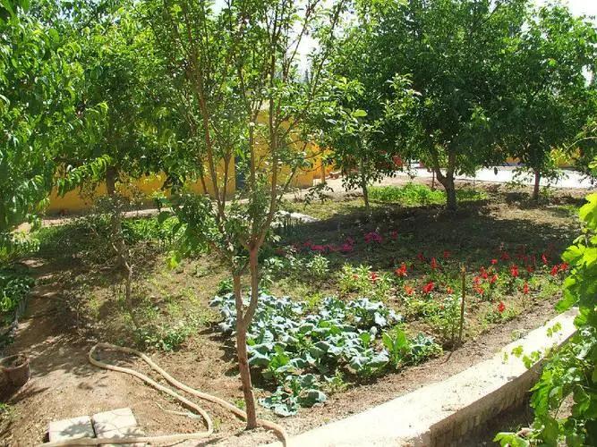 失踪的年轻租客完整版,失踪的年轻租客第三集