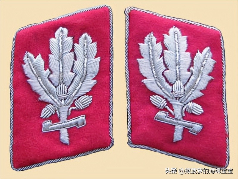 纳粹冲锋队用的什么枪,纳粹德军军衔图解