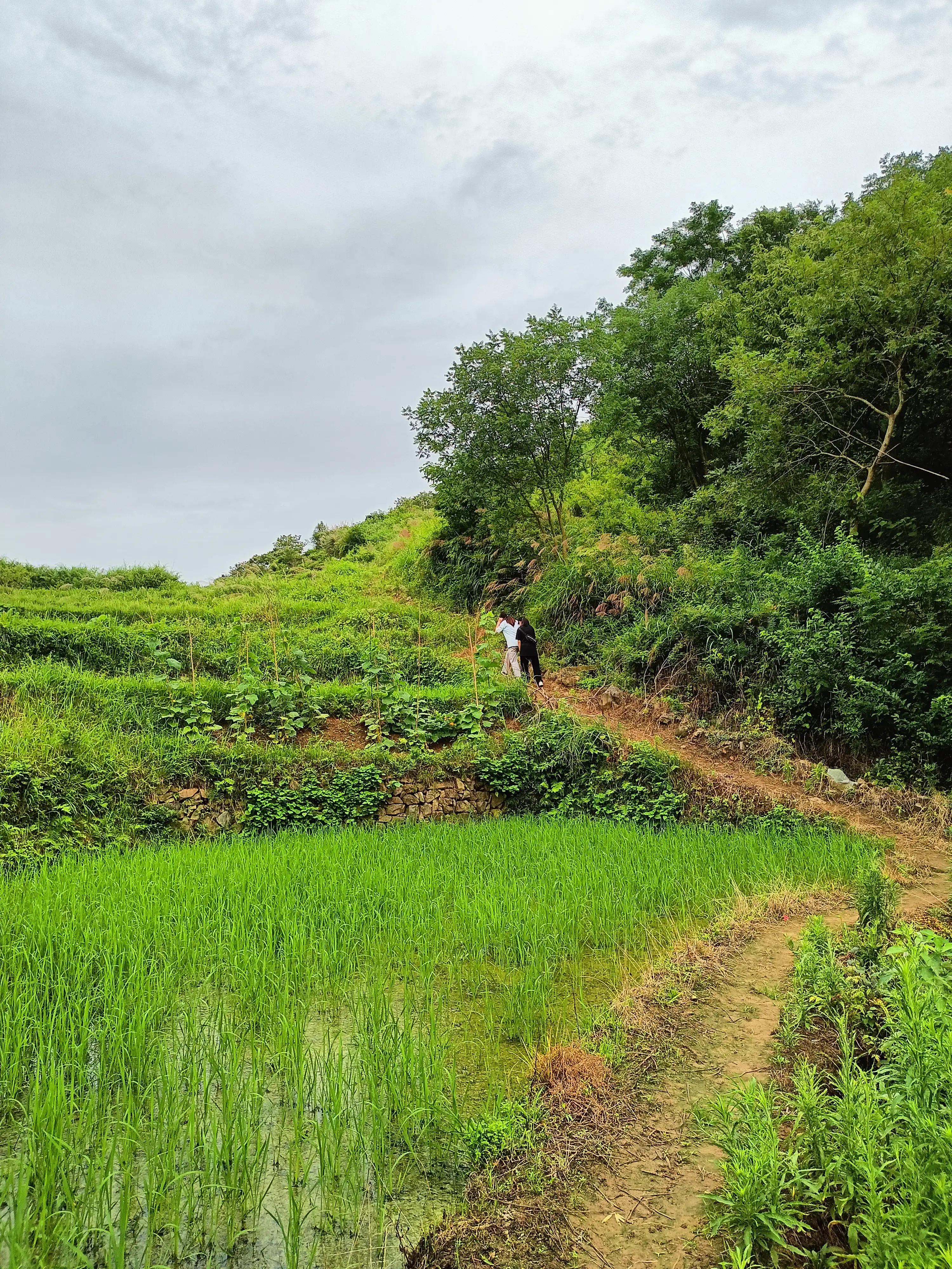 孩子成长的路上需要我们用心陪伴,孩子成长的同时父母也要一起成长