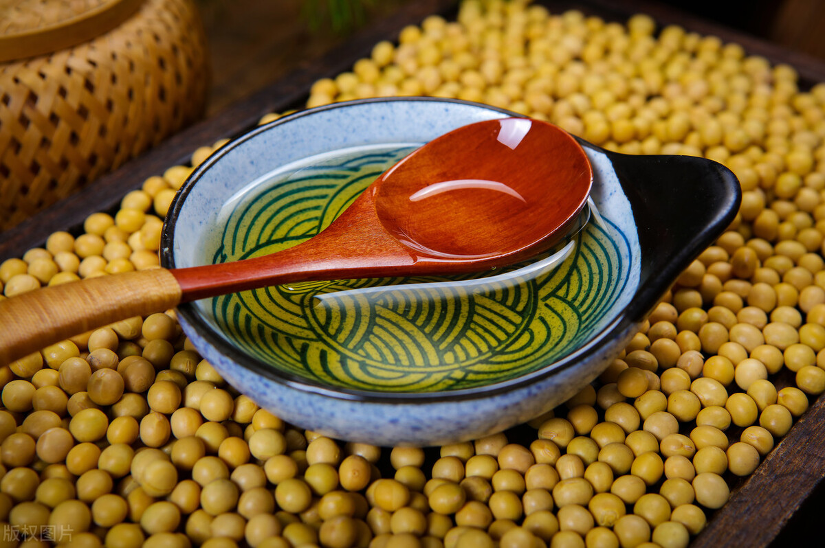 高油大豆高产栽培技术,高产油豆种