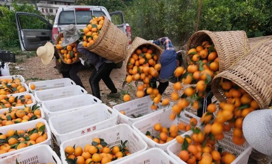 动真格了!抽检合格率下降,国家发文支持建冷库,3类人受益